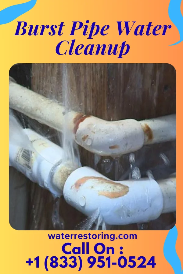 Burst Pipe Water Cleanup in Dierks, AR